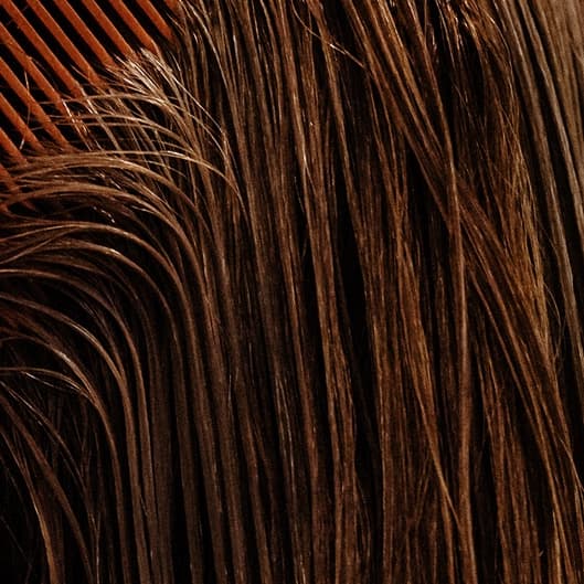 Blow me away- lvl 2 at Co. & Co. Salon in Charleston, SC